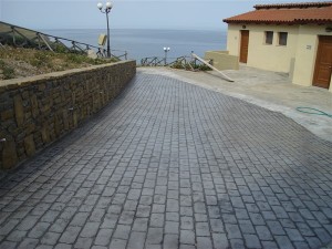 DSC00974
