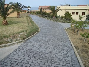DSC00980