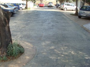 DSC03983