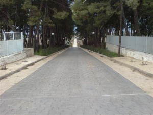 stampota-dapeda-temnon (11)