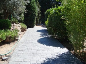 stampota-dapeda-temnon (12)