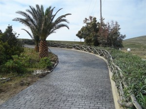 stampota-dapeda-temnon (33)   