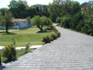 stampota-dapeda-temnon (35)   