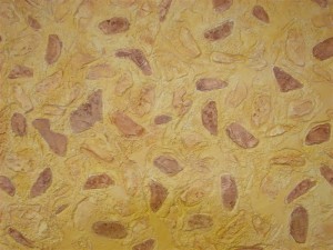 stampota-toixou-temnon (7) 