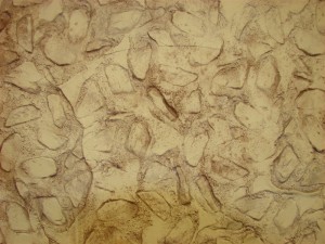 stampota-toixou-temnon (9) 